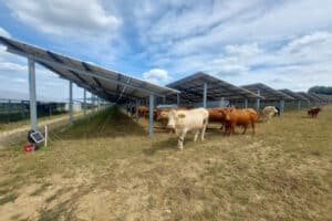 Bild zum Managementkommentar zur Entwicklung des Murphy&Spitz Green Bond im Juli 2025