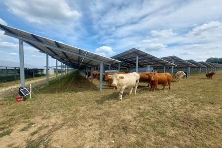 Bild zum Managementkommentar zur Entwicklung des Murphy&Spitz Green Bond im Juli 2025