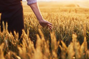 Verantwortungsvolle, nachhaltige Landwirtschaft berücksichtigt das Ökosystem, die Artenvielfalt und das einzelne Lebewesen. Eine umweltgerechte Nahrungsmittelproduktion vermeidet schädlichen Einfluss auf Klima, Natur und Gesundheit der Menschen.