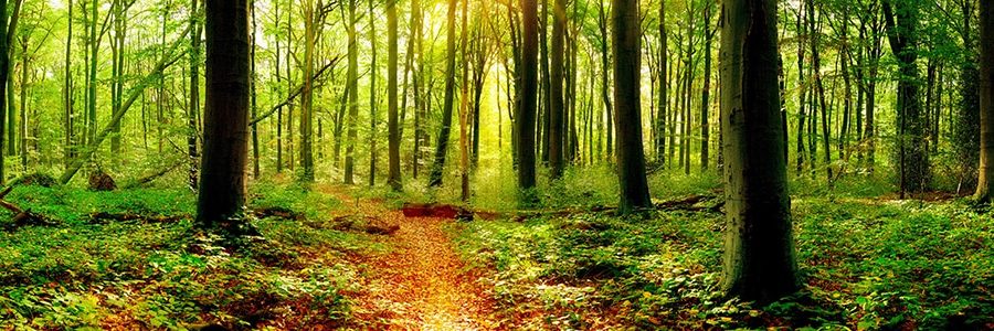 header-investments-2.jpg